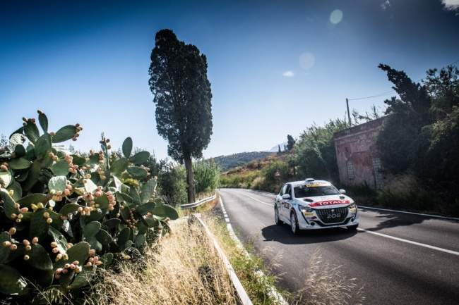 Do 31. prosince 2020 bude dodáno 80 vozů Peugeot 208 Rally 4, což dokazuje, že přestože byly první dodávky kvůli pandemii odsunuty na 1. července, všechny týmy Peugeot Sport tvrdě pracovaly na tom, ab